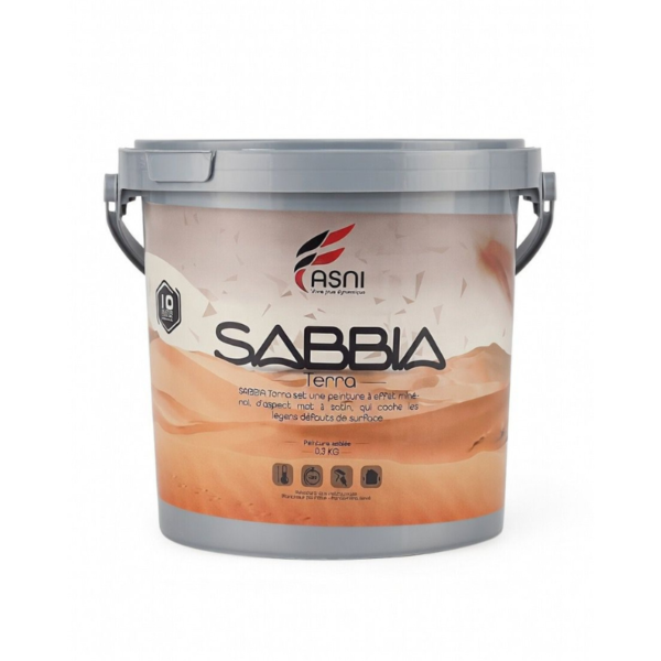 ASNI SABBIA TERRA ARGENT 3KG
