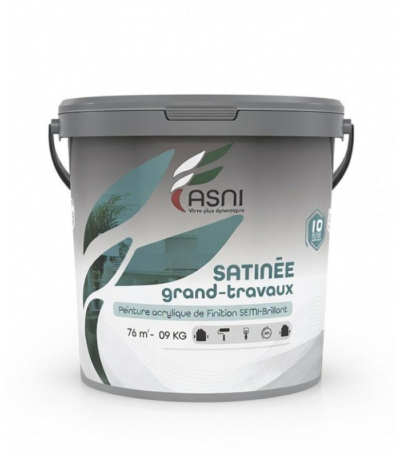ASNI SATINE GRANDS TRAVAUX 09KG