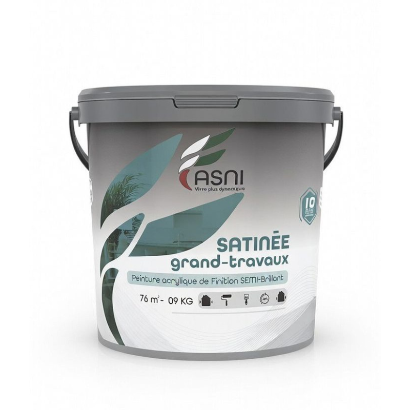 ASNI SATINE GRANDS TRAVAUX 09KG