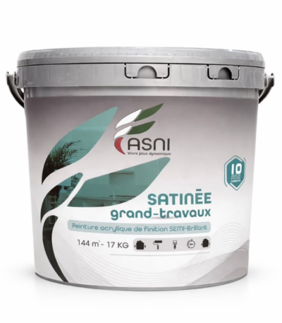 ASNI SATINE GRANDS TRAVAUX 17KG
