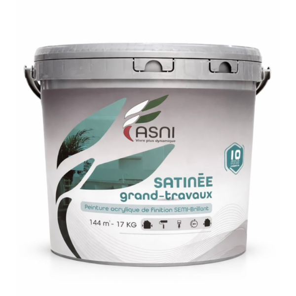 ASNI SATINE GRANDS TRAVAUX 17KG