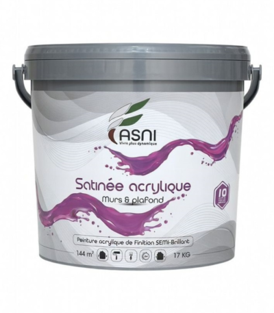 ASNI SATINE ACRYLIQUE 17KG